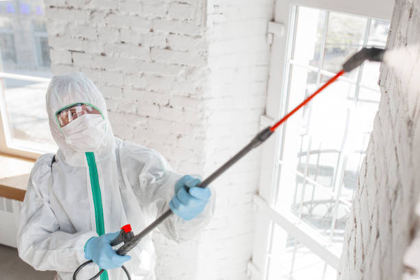 Mold Remediation for Vacation Homes in Fowler, MI